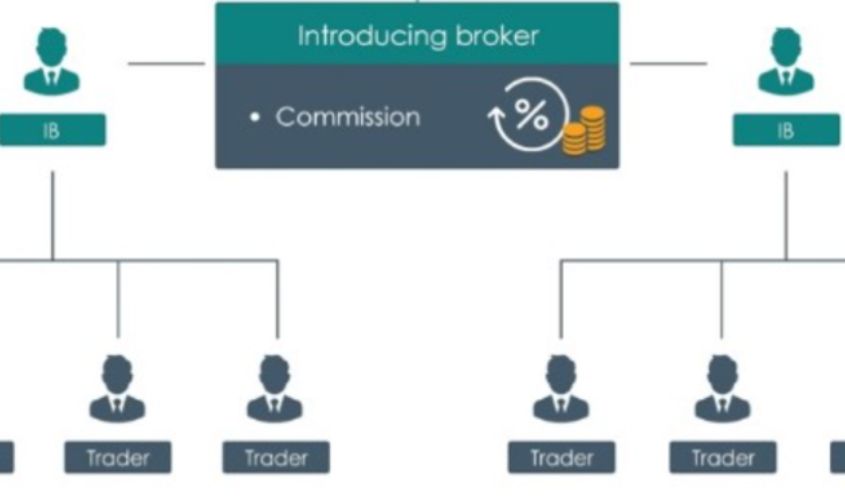 Introducing Broker Là Gì? Tìm Hiểu Về IB Forex Hoạt động Thế Nào?